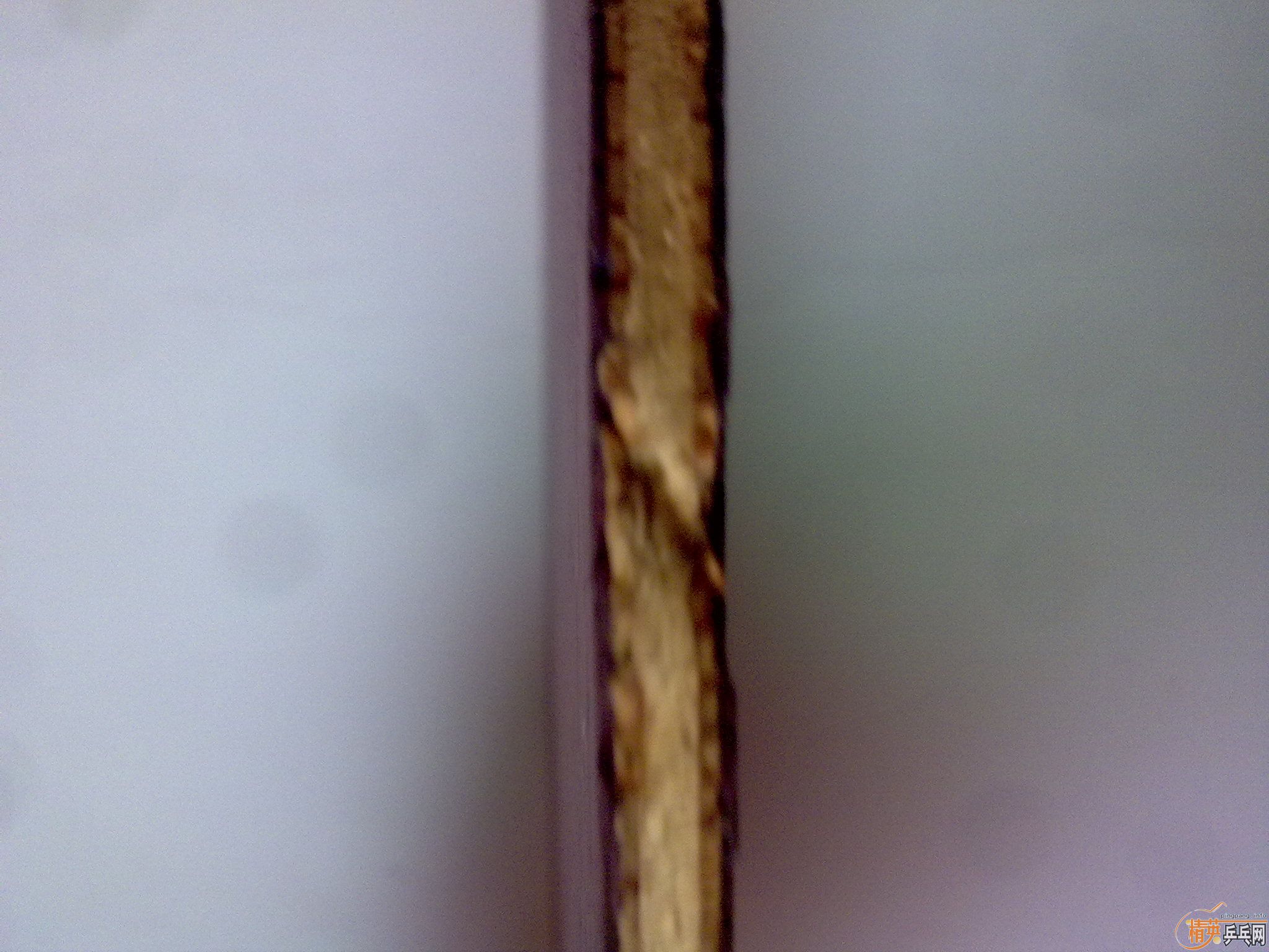 ���ѳ�06��������560����  �绰13881088141