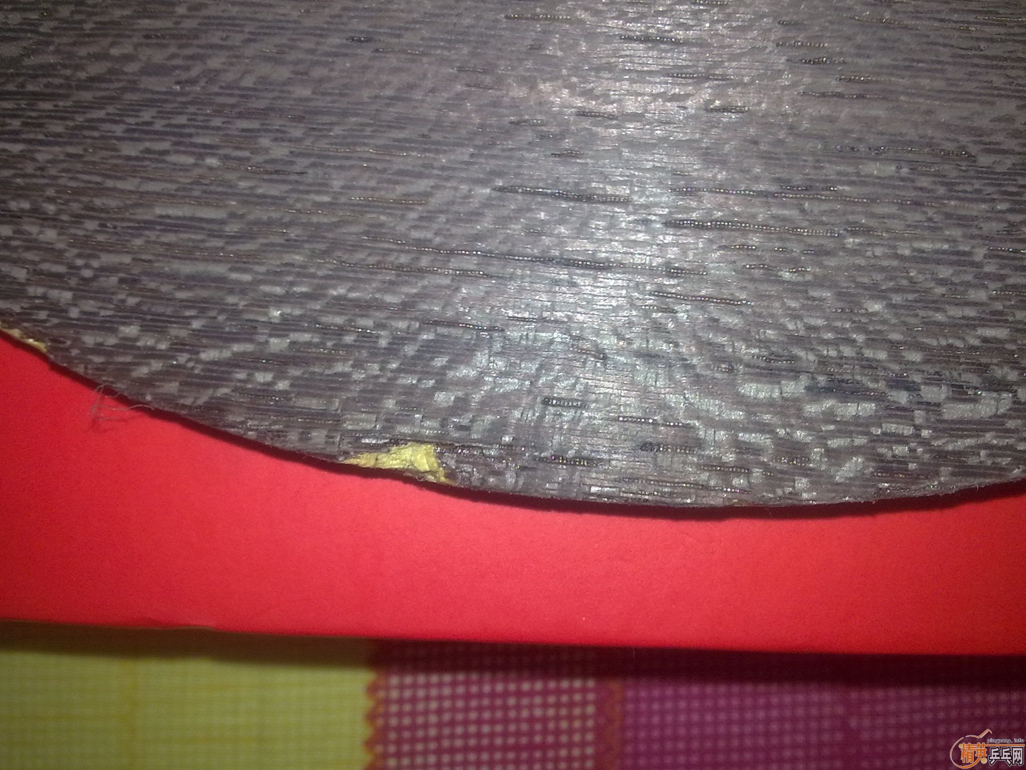 ���ѳ�06��������560����  �绰13881088141