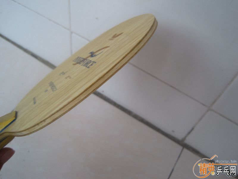 �������----����INNERFORCE-ZLF  FL