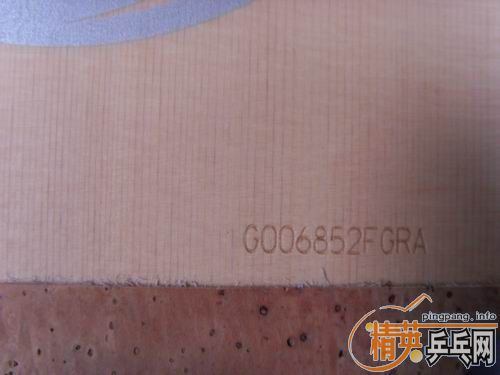 ���ѳ���CYPRESS MAX----��͢�ӵ���