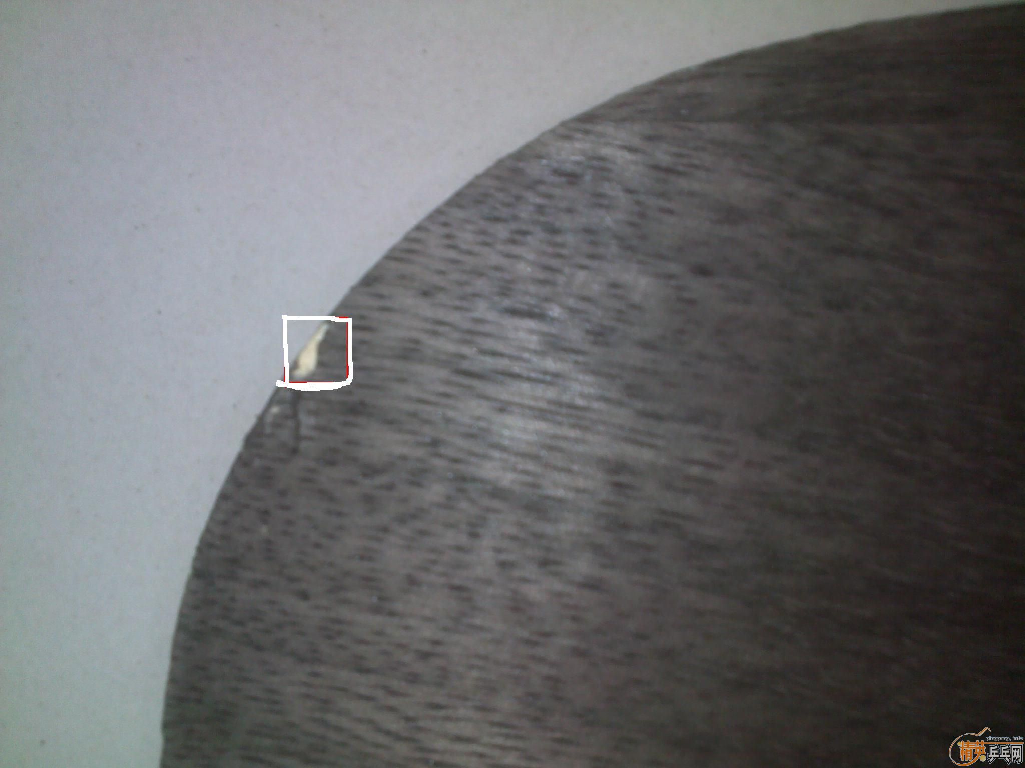 ������Ʒ��ʤ�л�����OC