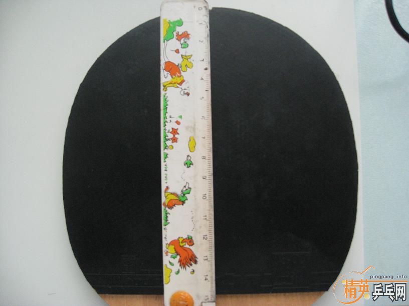 ������450���Ϳ�F1