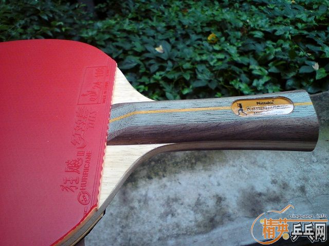 ����ֱ�ĺ�ʧ��,����9.8�������ⴿľʯ���Ѵ�����