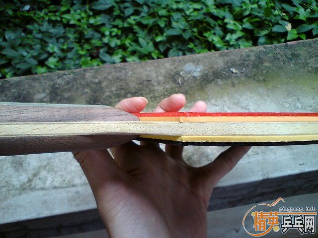 ����ֱ�ĺ�ʧ��,����9.8�������ⴿľʯ���Ѵ�����230Ԫ������