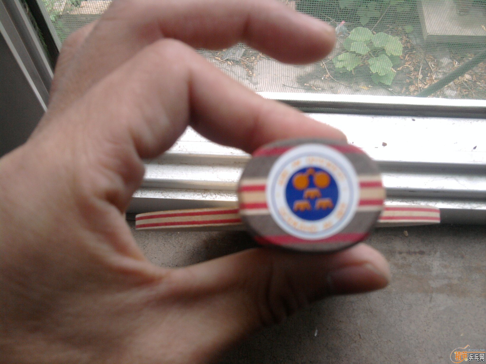 [����]�յ��ֵ�CL   ST  ���� ����