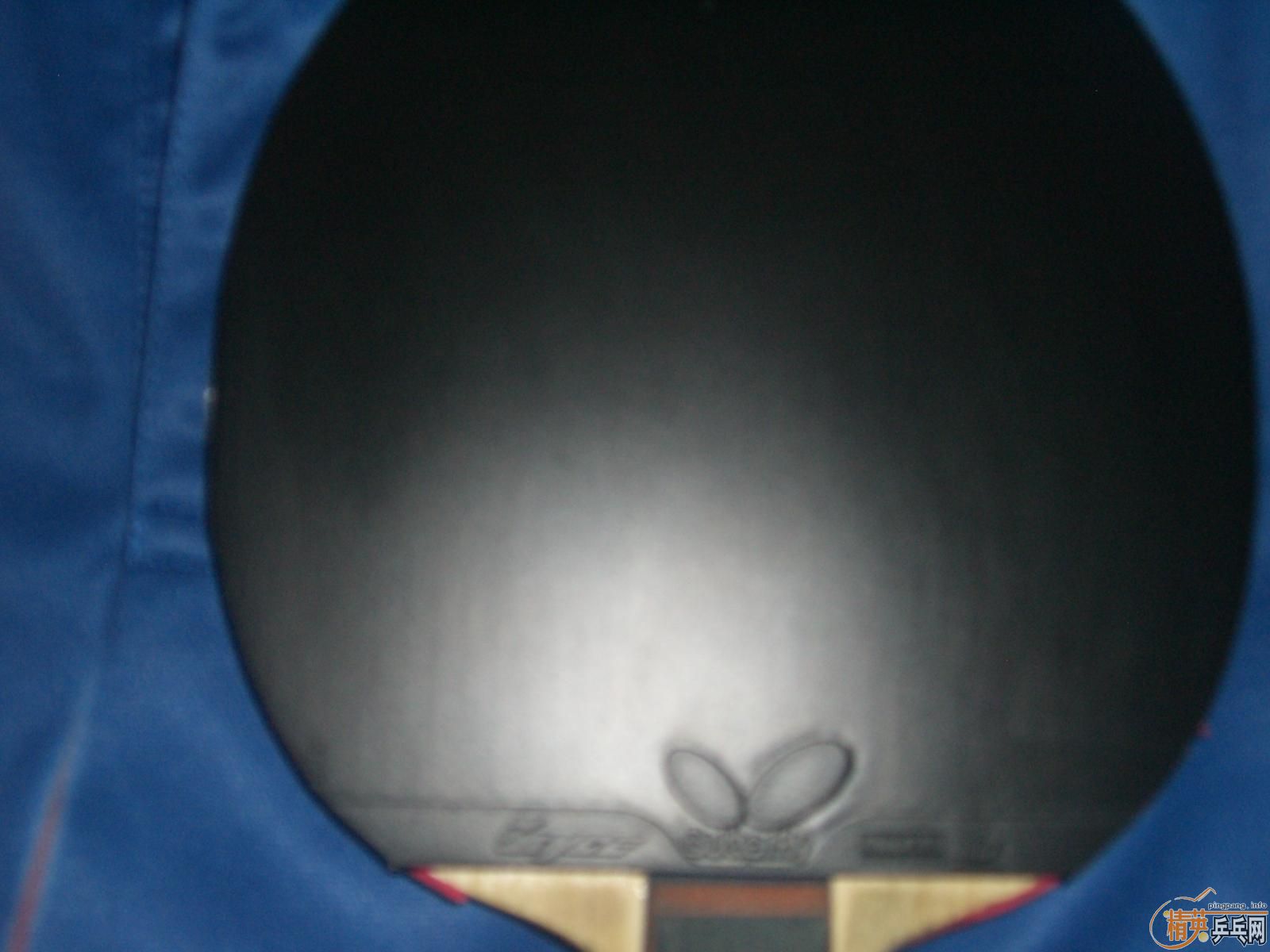 ���۴��BRYCE ŷ����2 ����T��