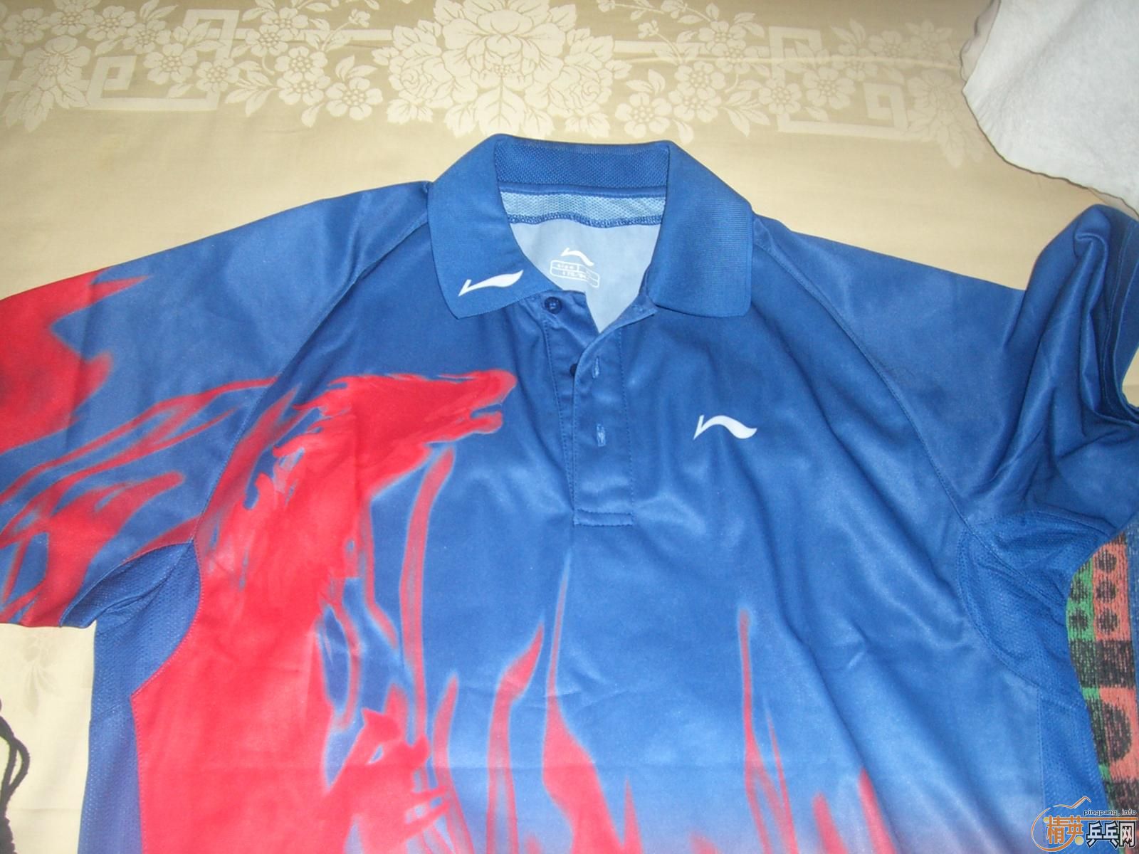 ���۴��BRYCE ŷ����2 ����T��