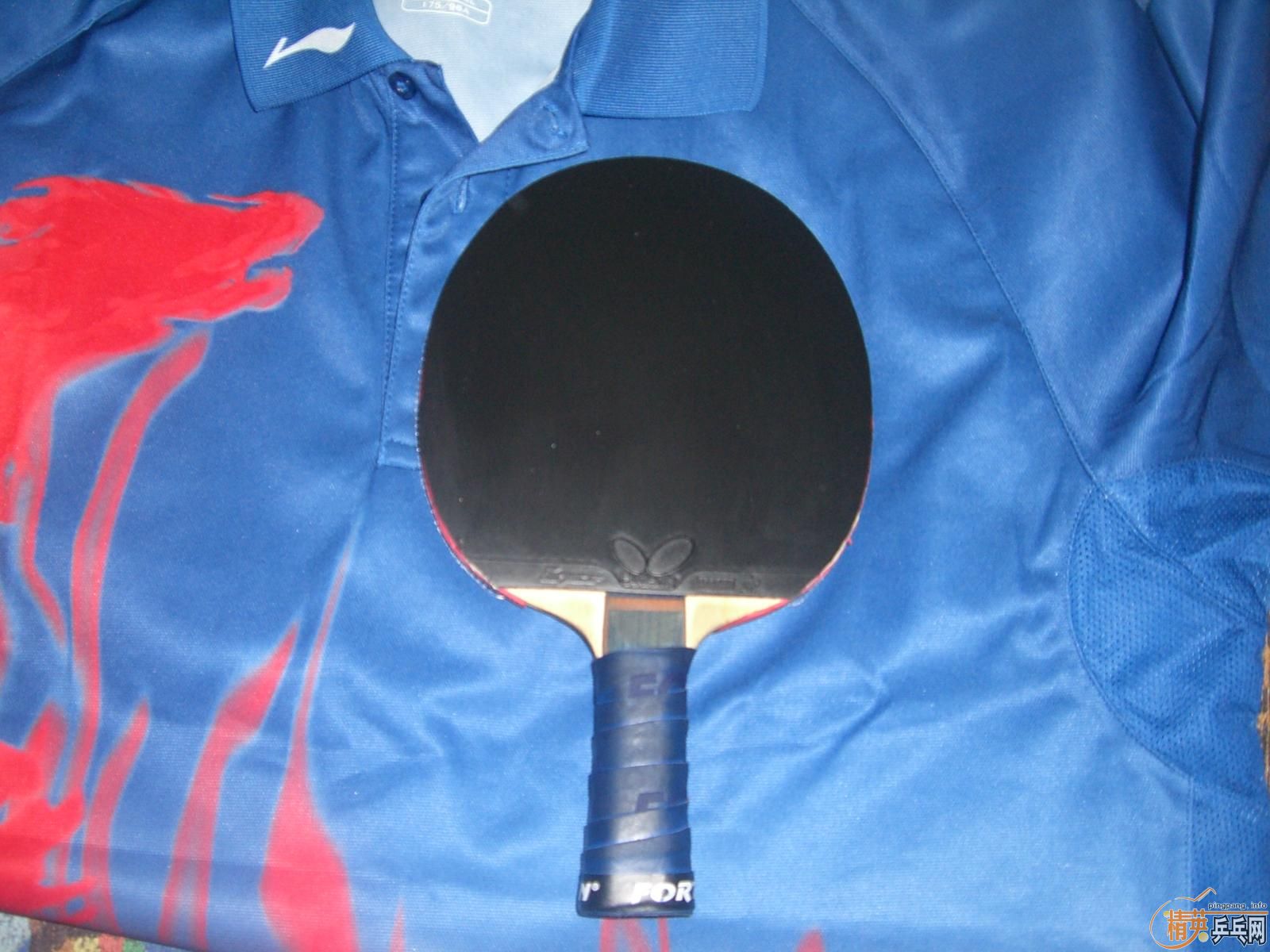 ���۴��BRYCE ŷ����2 ����T��