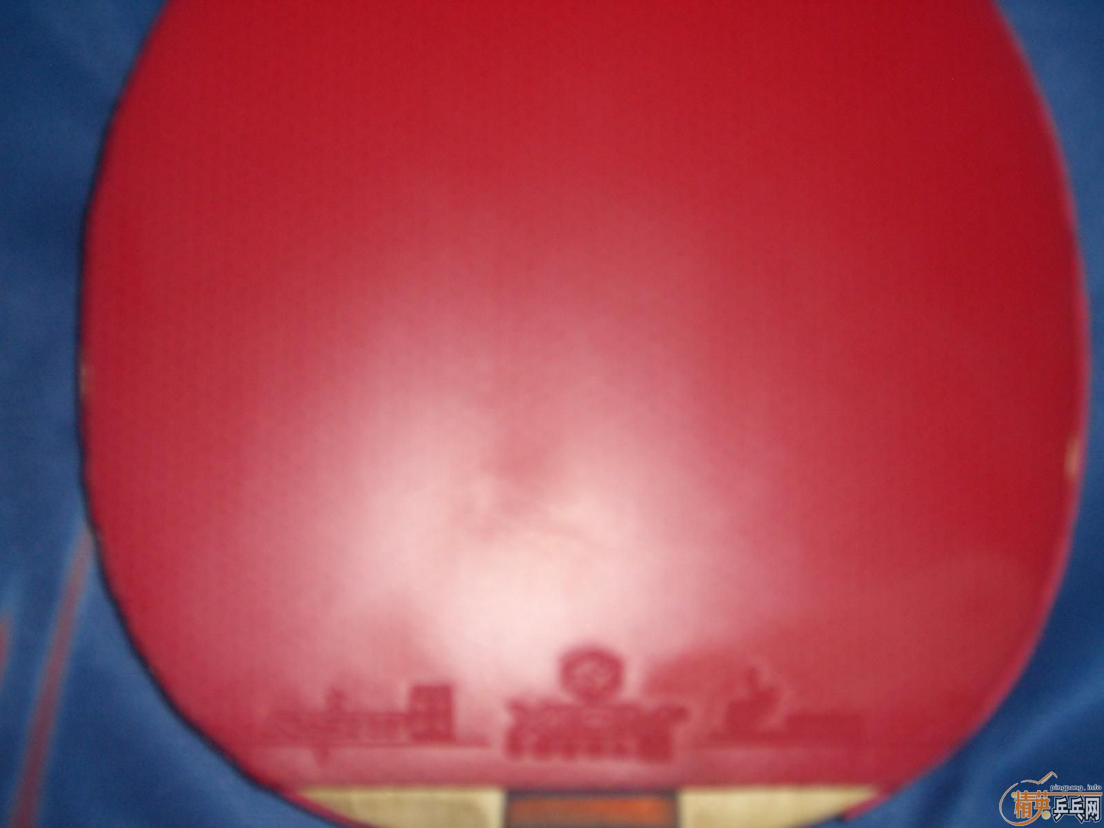 ���۴��BRYCE ŷ����2 ����T��