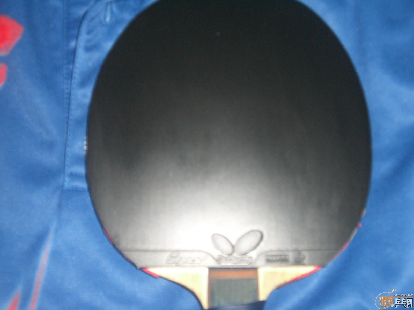 ���۴��BRYCE ŷ����2 ����T��