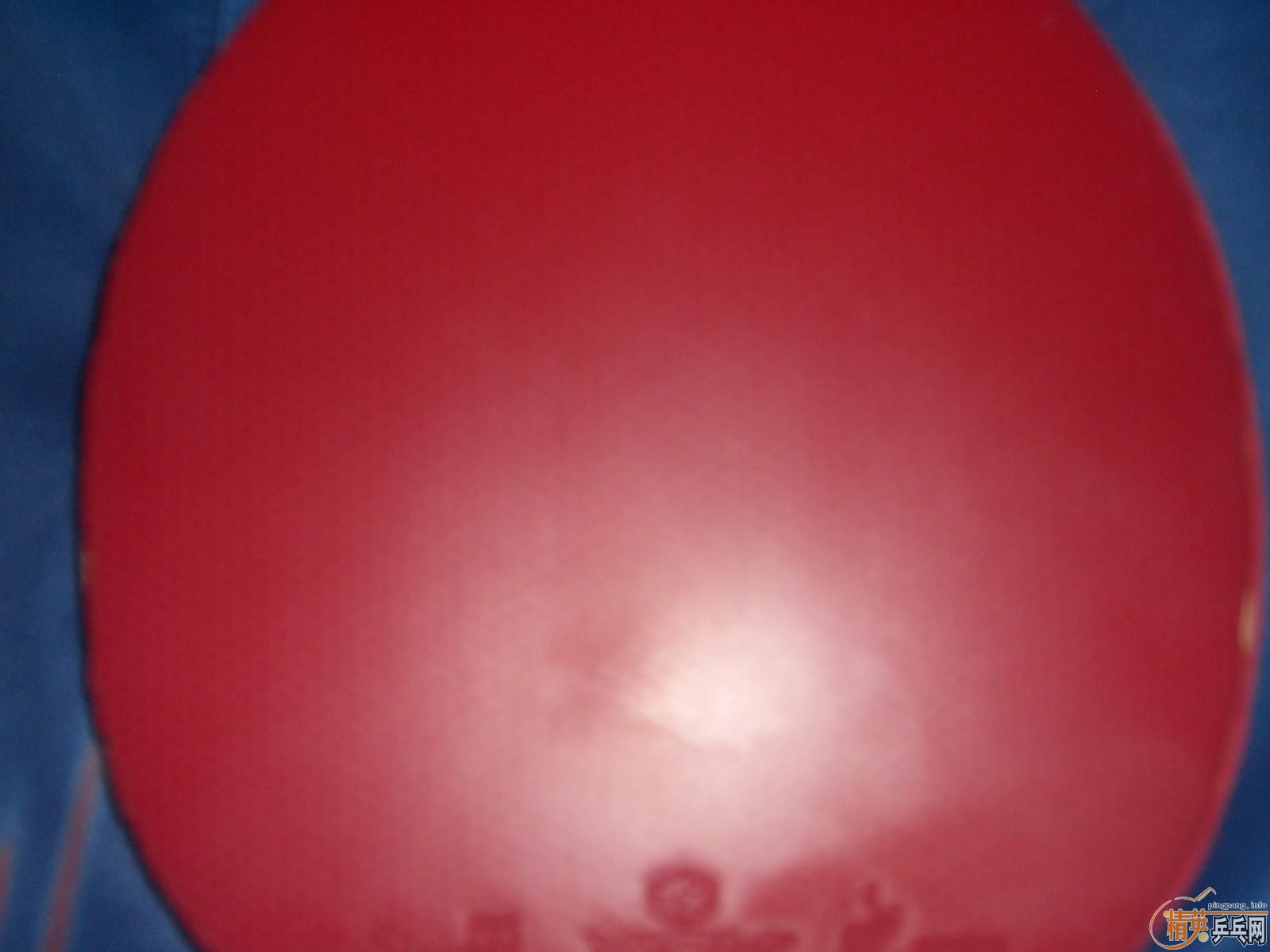 ���۴��BRYCE ŷ����2 ����T��