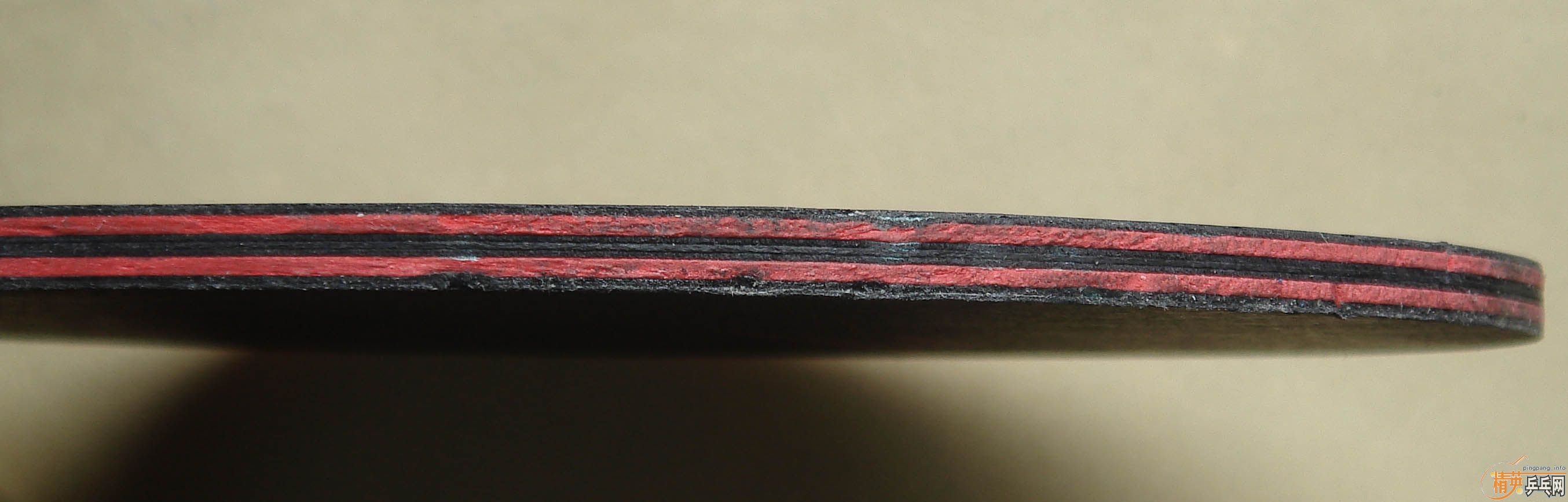 ����˹�ٿ�����̼����FL����ST����AN��