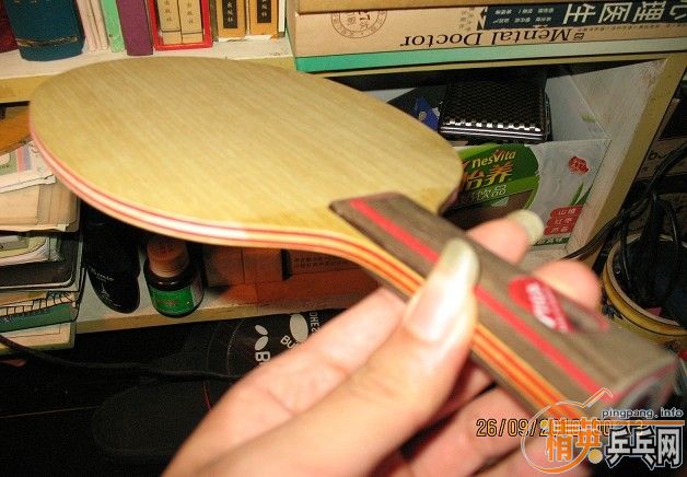 ���ƹ̳ ���������� һ������������