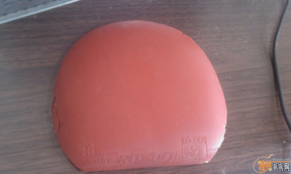 [ԭ��]ӭ�������ֻ���Ӻͼ���Ƥ����