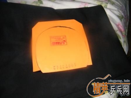 ���׺��׵�ֱ������ʡ��40�Ⱥ�ɫ�����ֲ���jo����������������������������������������������������������������������������������������������������-->����deЦ��ת��