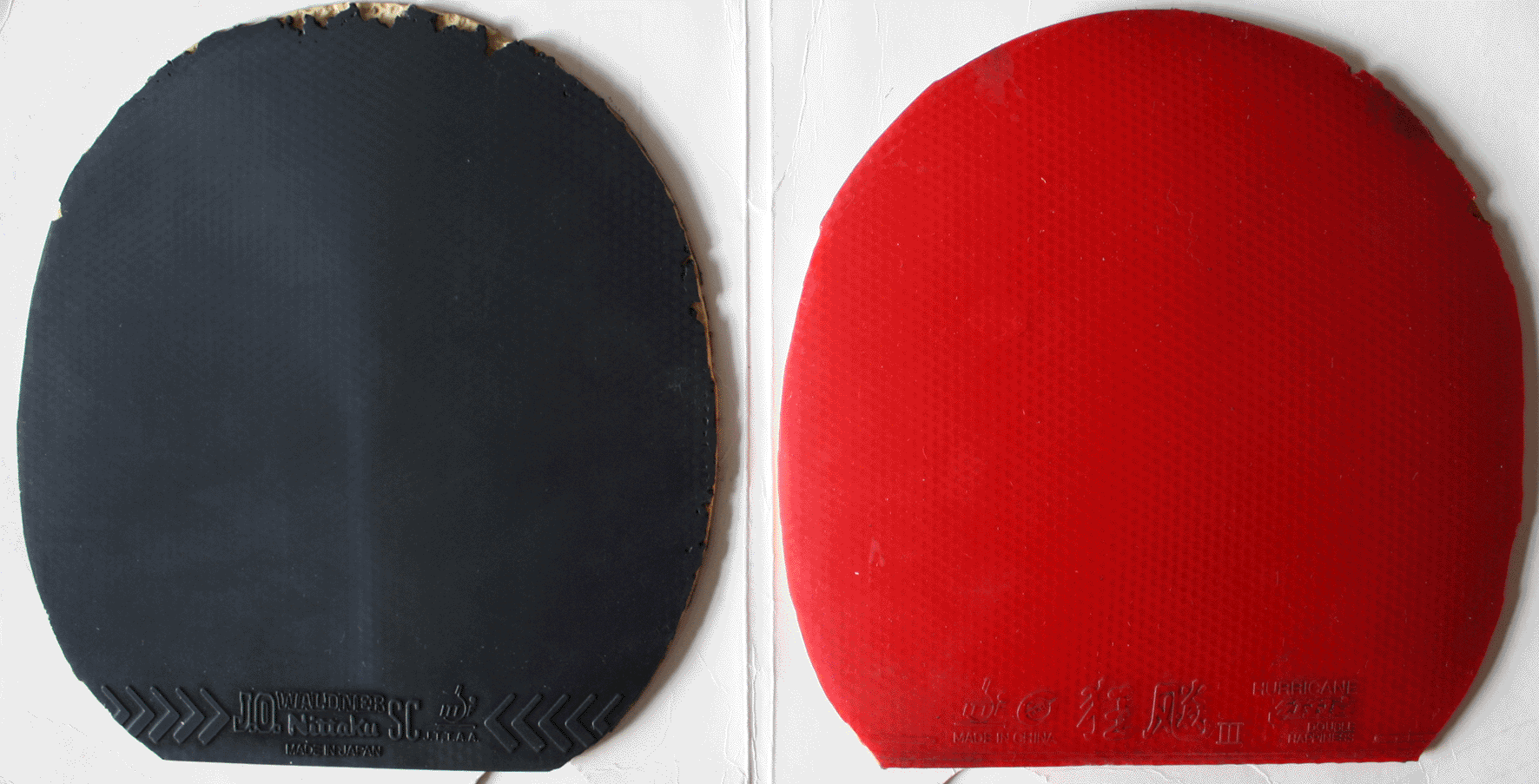 �����롿��������ס����ᡢJO�����ȣ���ֱ��ʡ��39