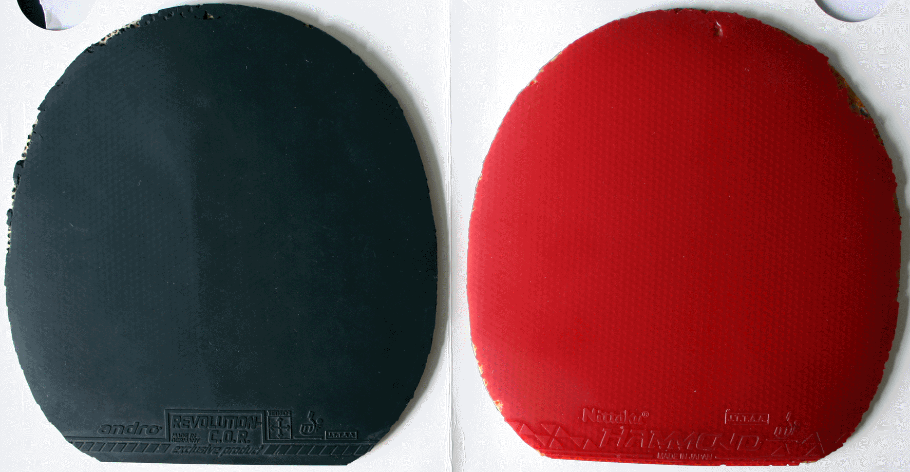 �����롿��������ס����ᡢJO�����ȣ���ֱ��ʡ��39