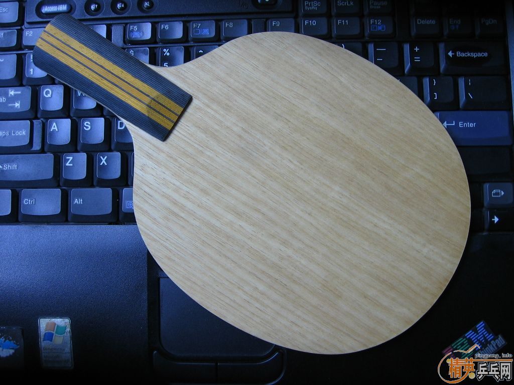 95����ľ����,600Ԫ����!