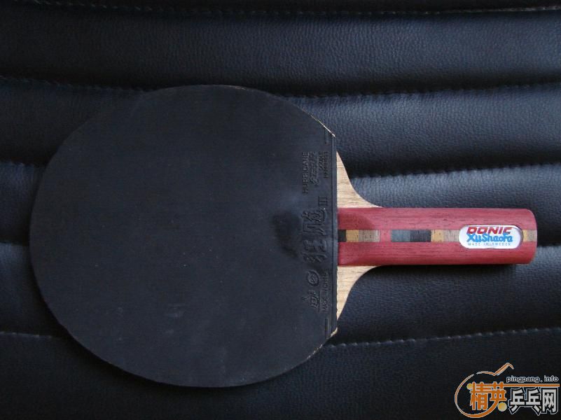 ������ĵ���ľST