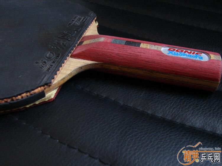 ������ĵ���ľST