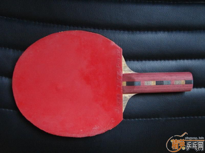 ������ĵ���ľST