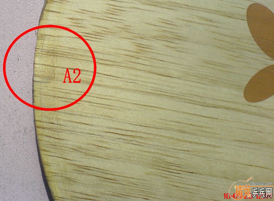 ���Ա���֧������87.5��FLˮ��zlc�����ˣ�500����