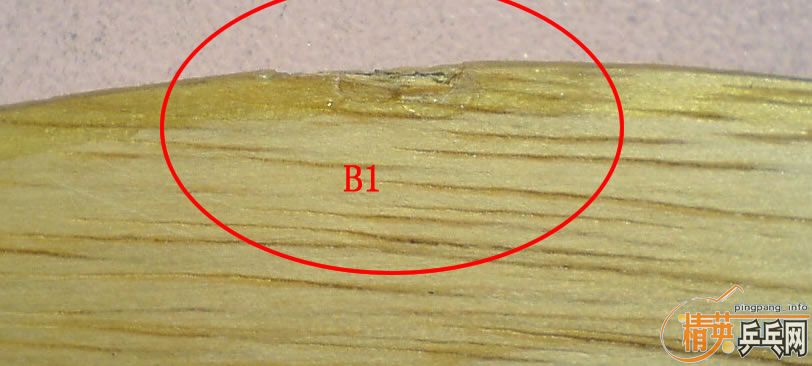 ���Ա���֧������87.5��FLˮ��zlc�����ˣ�500����