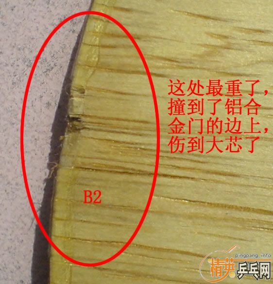 ���Ա���֧������87.5��FLˮ��zlc�����ˣ�500����