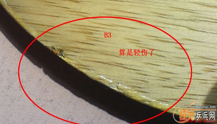 ���Ա���֧������87.5��FLˮ��zlc�����ˣ�500����