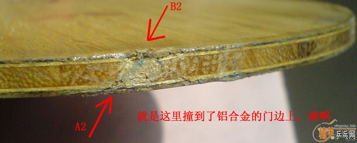 ���Ա���֧������87.5��FLˮ��zlc�����ˣ�500����