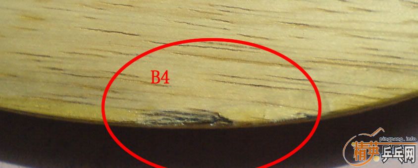 ���Ա���֧������87.5��FLˮ��zlc�����ˣ�500����