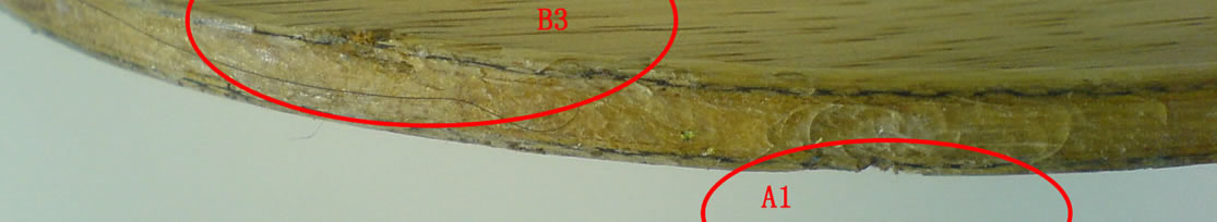 ���Ա���֧������87.5��FLˮ��zlc�����ˣ�500����