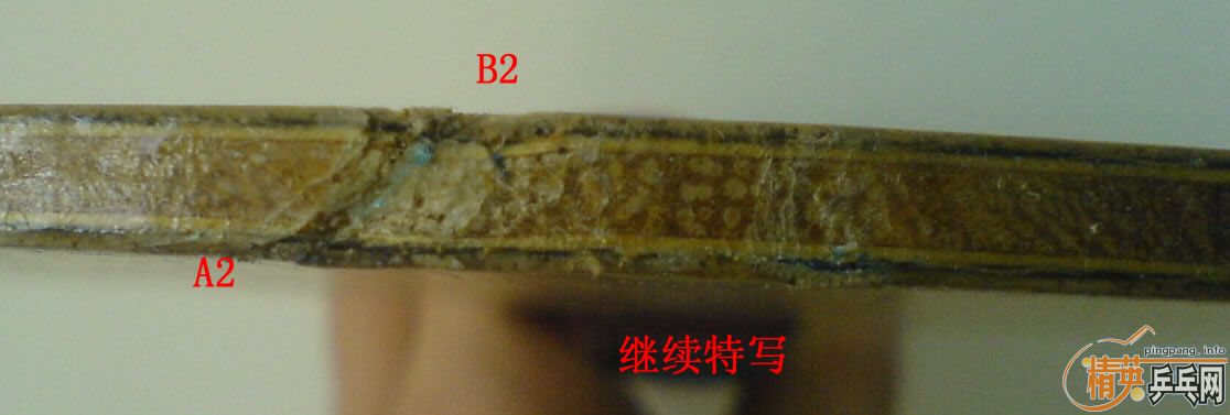 ���Ա���֧������87.5��FLˮ��zlc�����ˣ�500����