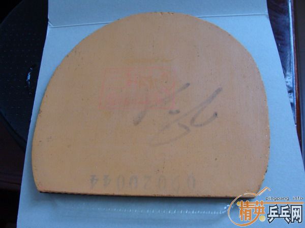 ���������������ʡ��