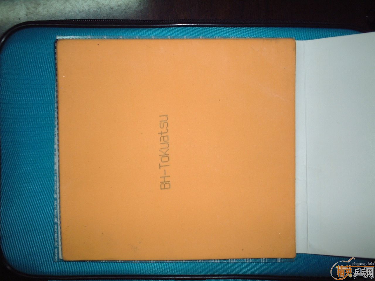 ��豹��棬ϴ�ĸ��档��ԤԼ����������