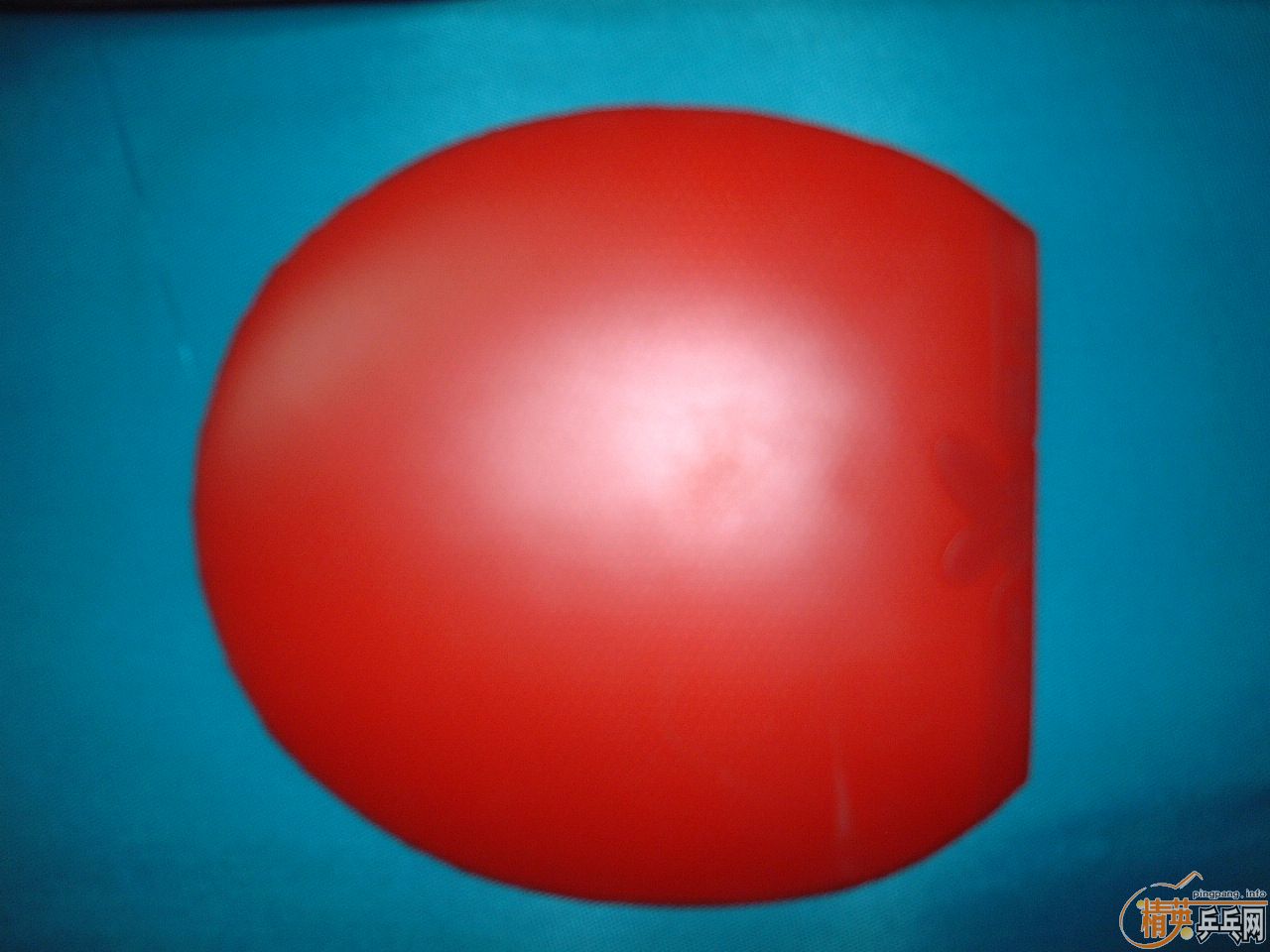 ��豹��棬ϴ�ĸ��档��ԤԼ����������