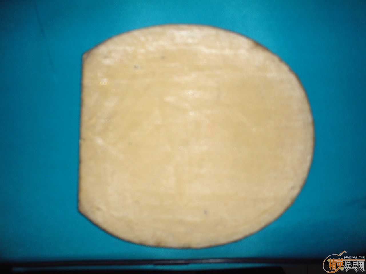 ��豹��棬ϴ�ĸ��档��ԤԼ����������