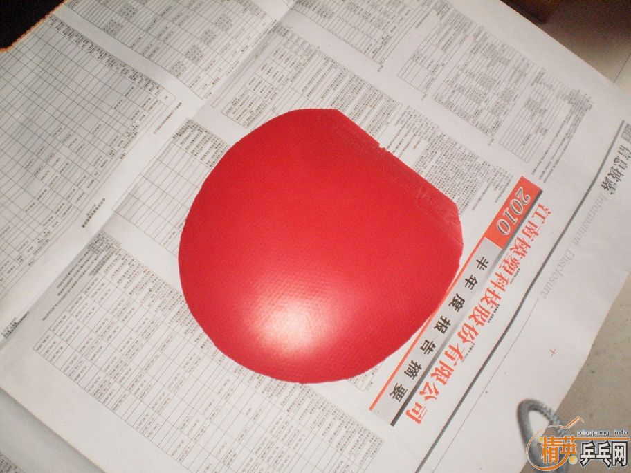 ���Ŀ��ɫ�ܺõ�DONIC������ף�����