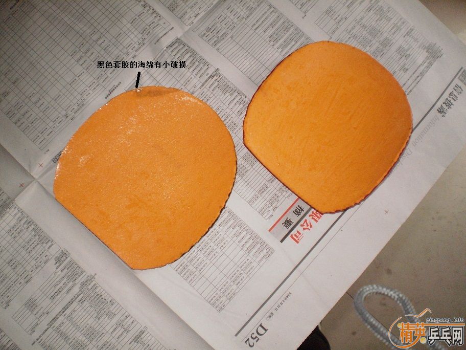 ���Ŀ��ɫ�ܺõ�DONIC������ף�����