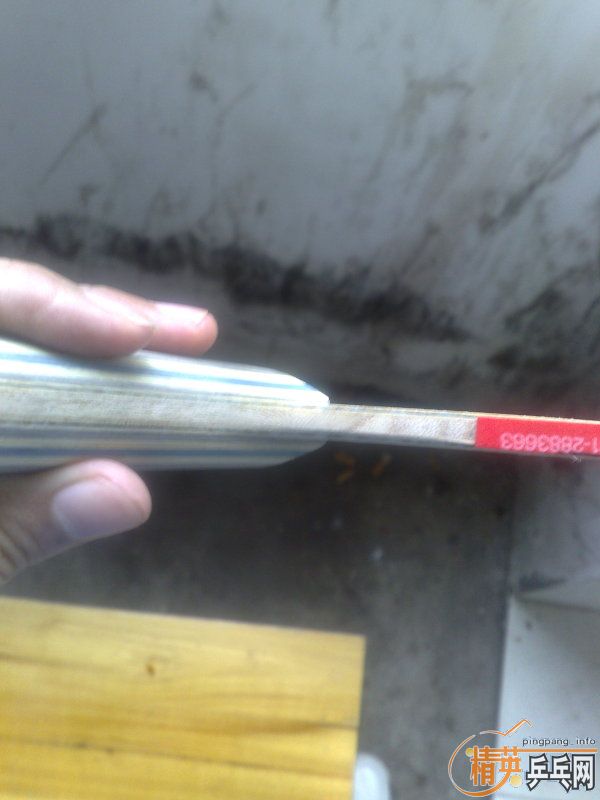 ��һ��9.99���º�����21620