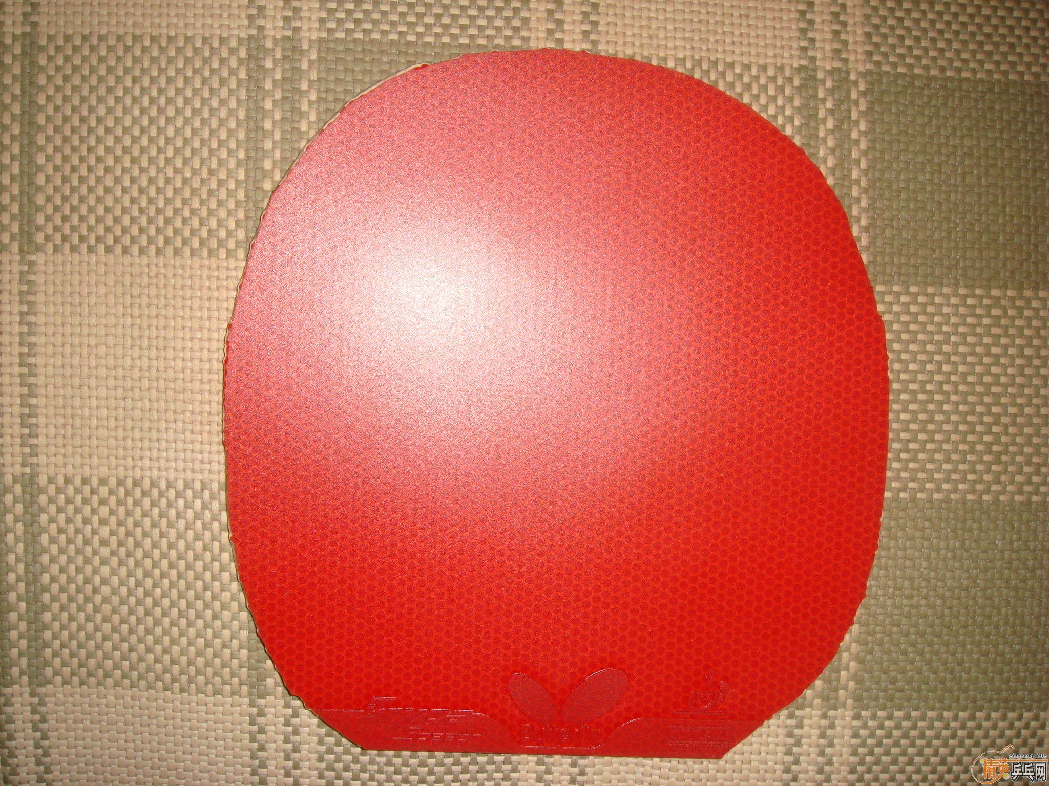 ���������ף��к���TENERGY64  2�죬donic ����1�飩