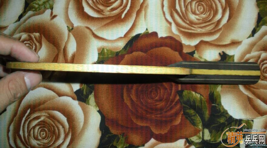 ����̴5����ľ�������