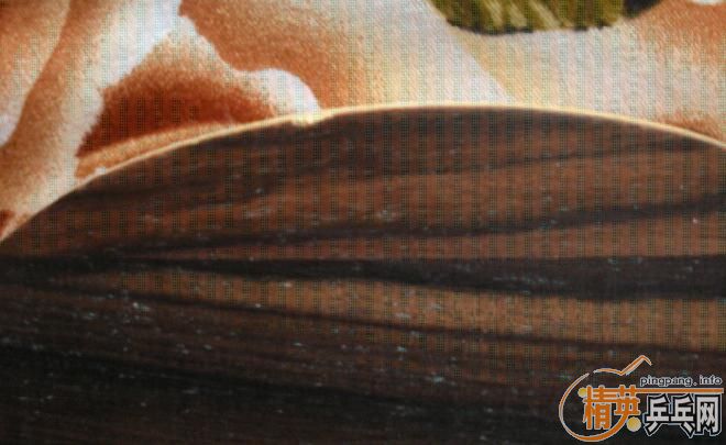 ����̴5����ľ�������