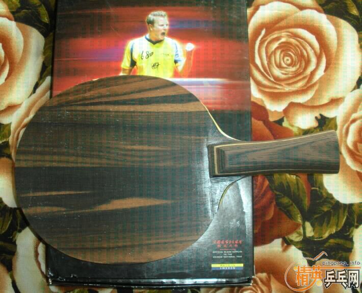 ����̴5����ľ�������