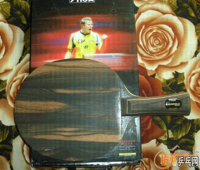 ����̴5����ľ�������