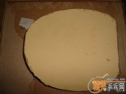 tl��06ʡ�����729-2    150����