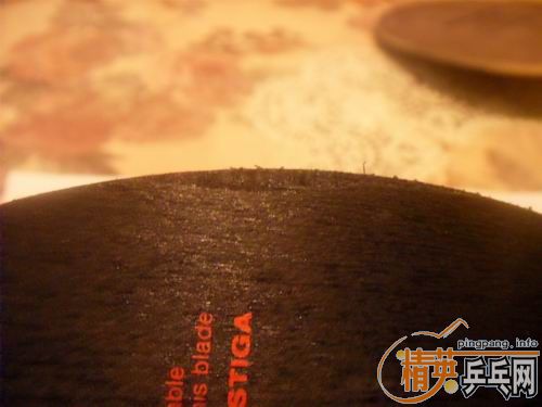 �����ѳ�������ӡ�����̼����������anv wl�������ڣ�