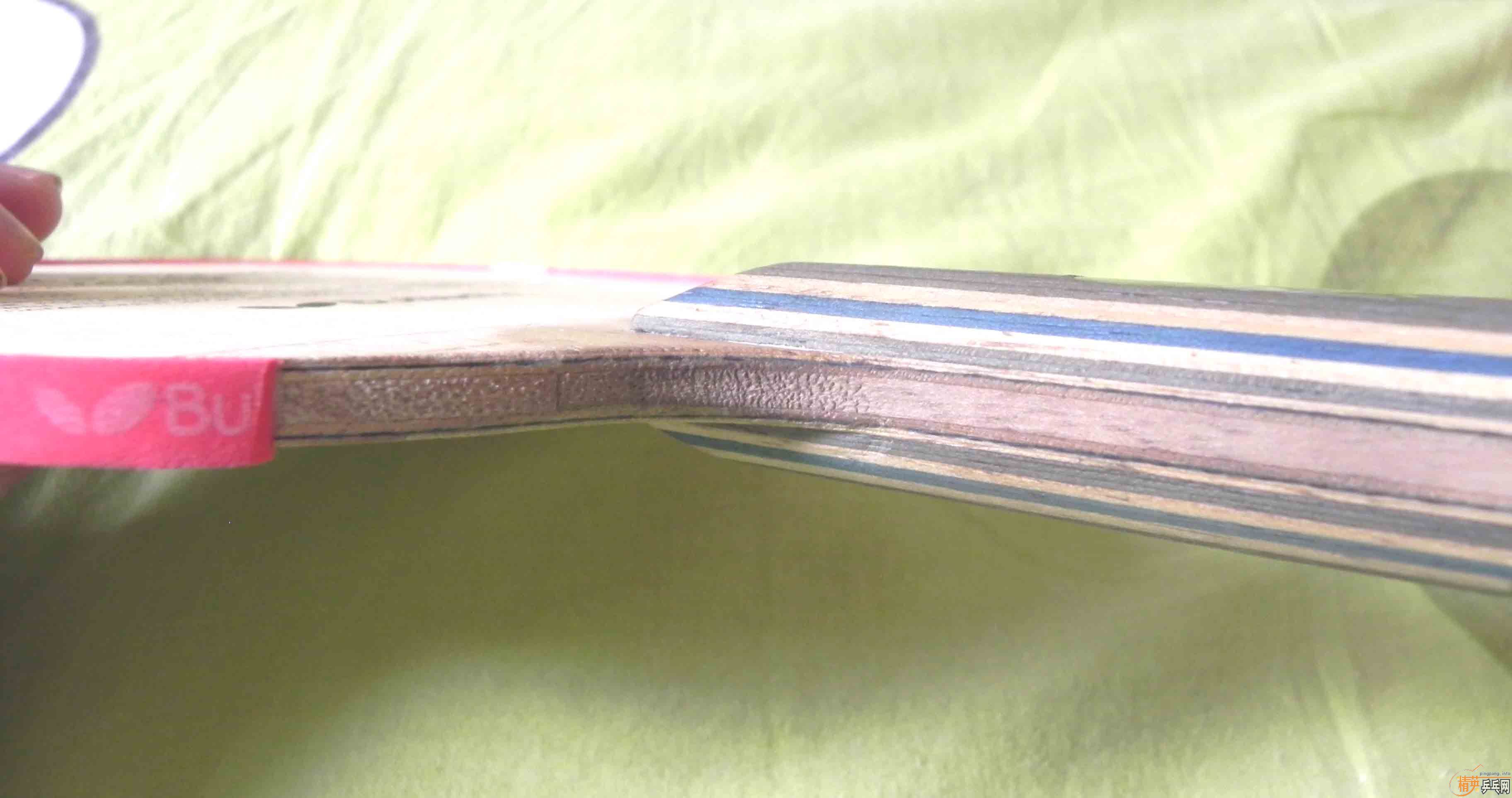 ��9.5�º�����20060