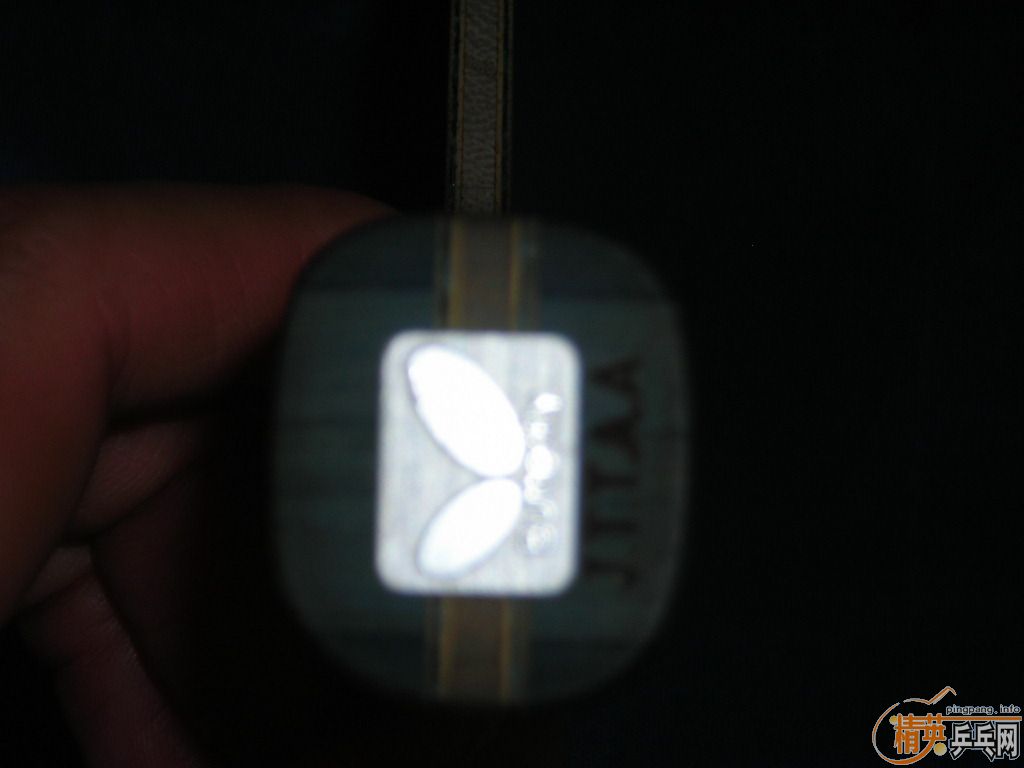 ������BOLL   ALC   495Ԫ