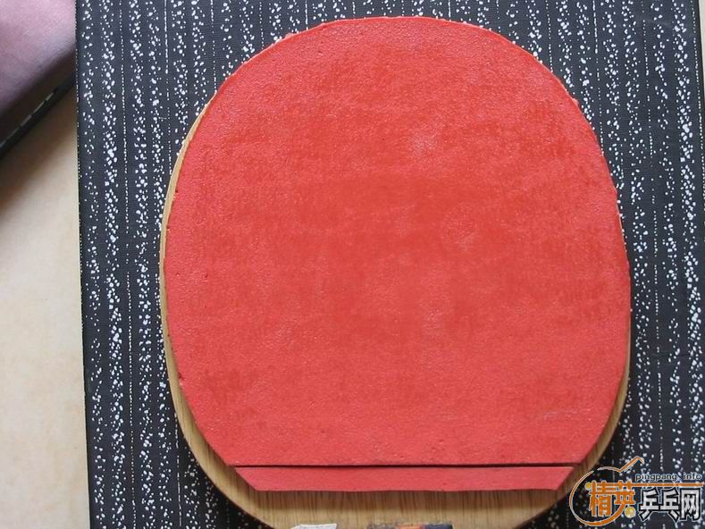 ��ɫ���SPEEED  25   ��һ��